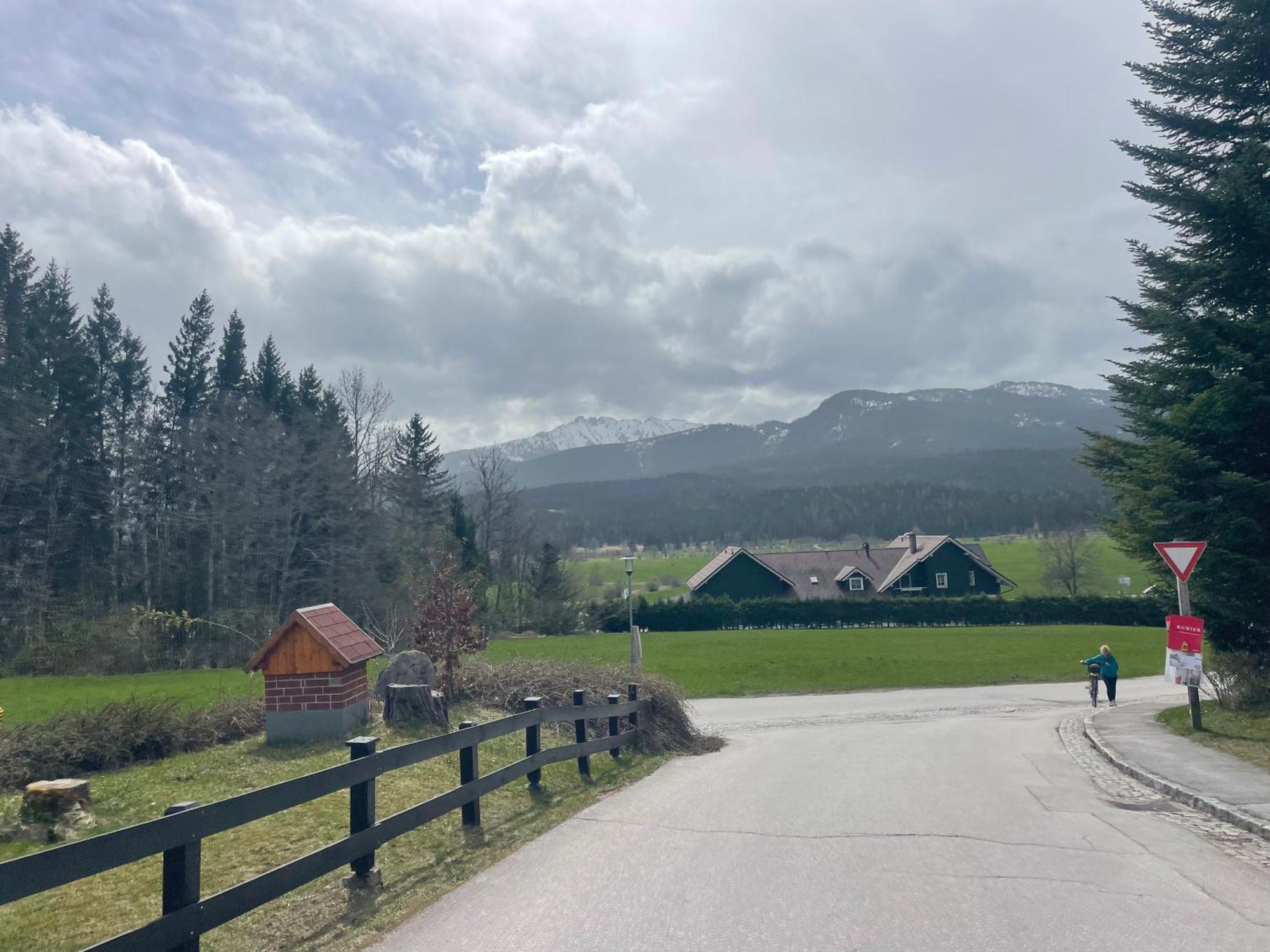 Katarina'S Cozy Bungalov Bad Mitterndorf Kültér fotó